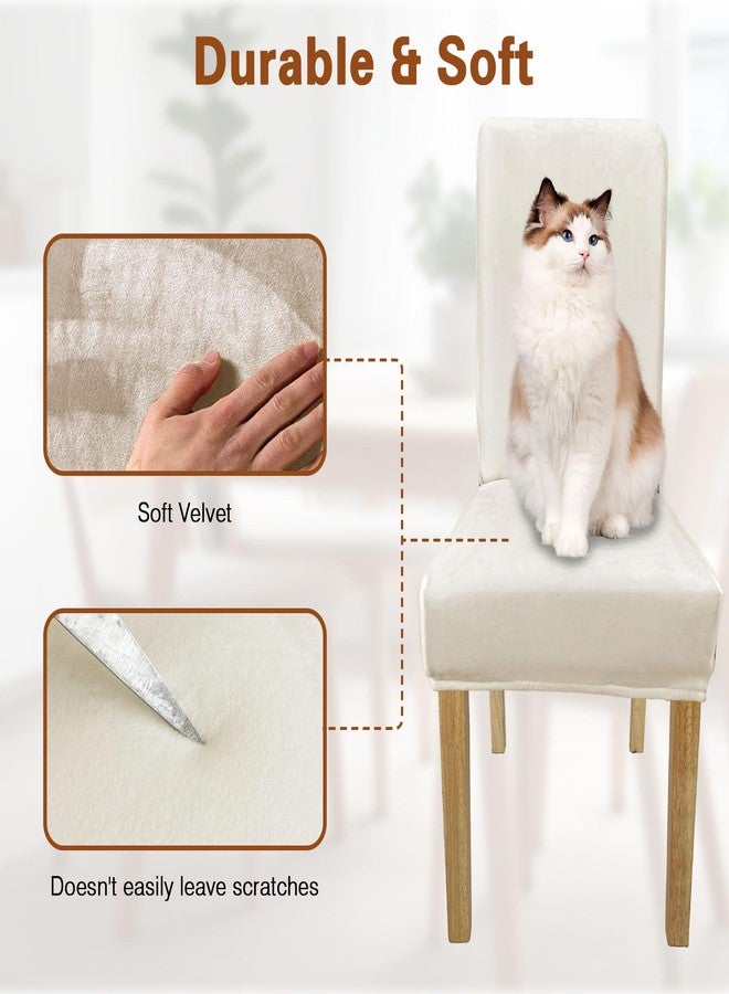 WUSOUPU Velvet Dining Room Chair Cover Stretch Thicker Dining Chair Covers Set of 4, Removable & Soft Velvet Kitchen Chairs Covers Washable Parsons Chairs Slipcover for Kitchen Room (Beige, 4PCS) - Image 3
